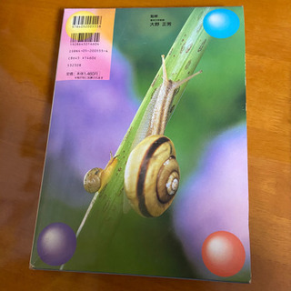 生き物図鑑の画像