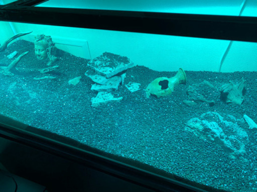 破格 水槽 水槽台 アクアリウム