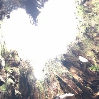 旅行好きな30代女性☆