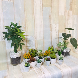 【ニトリ購入】 観葉植物 多肉植物 13点セット フェイクグリーンの画像