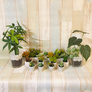 【ニトリ購入】 観葉植物 多肉植物 13点セット フェイクグリーンの画像