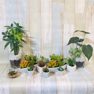 【ニトリ購入】 観葉植物 多肉植物 13点セット フェイクグリーンの画像