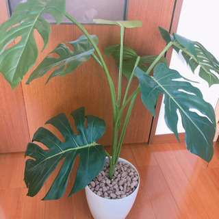 ★お取引き中★ フェイクグリーン　光触媒観葉植物　モンステラ　