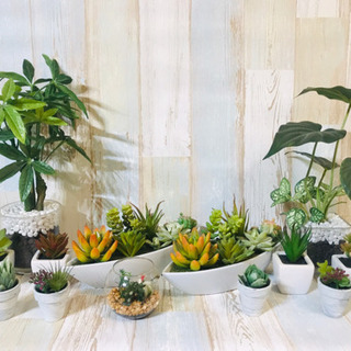 【ニトリ購入】 観葉植物 多肉植物 13点セット フェイクグリーンの画像