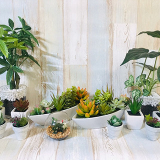 【ニトリ購入】 観葉植物 多肉植物 13点セット フェイクグリーン