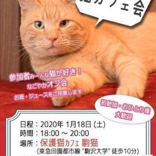 ❇️1/18(土) 猫好きが集まるなごやかオフ会(新年会)