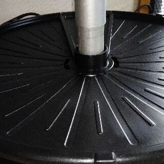 ザイグルの画像