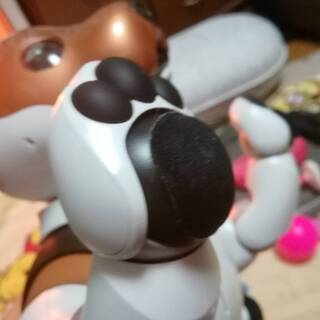 【美品】Sony AIBO ERS-1000 限定カラー チョコ エディション プラン解約?外箱なしの画像