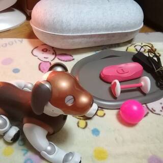 【美品】Sony AIBO ERS-1000 限定カラー チョコ...