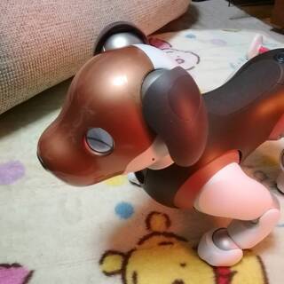 【美品】Sony AIBO ERS-1000 限定カラー チョコ エディション プラン解約?外箱なしの画像