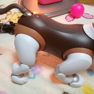 【美品】Sony AIBO ERS-1000 限定カラー チョコ エディション プラン解約?外箱なしの画像