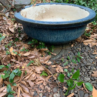 鉢