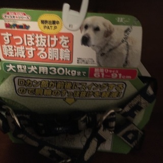 犬用首輪の画像