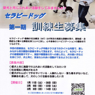 セラピードッグ訓練会