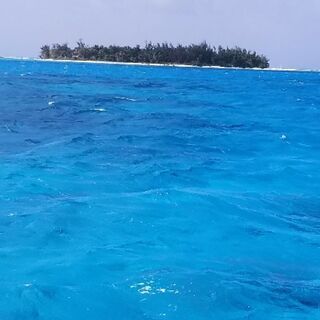 一人旅😊 - 友達
