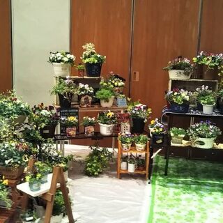 カントリーフェアinひたちなか出店者募集中 - その他
