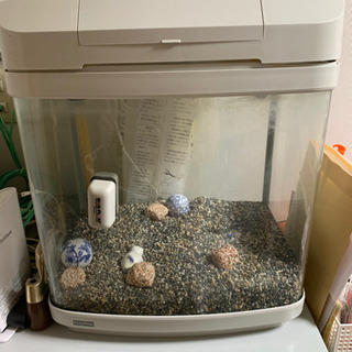 水槽の画像
