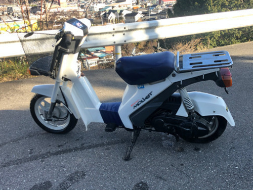 スズキ　モレト50