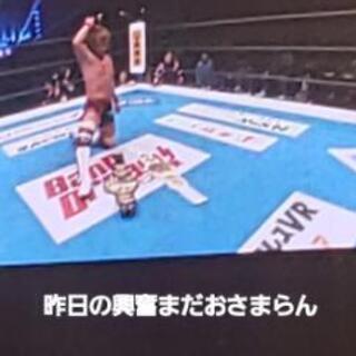 プロレス会