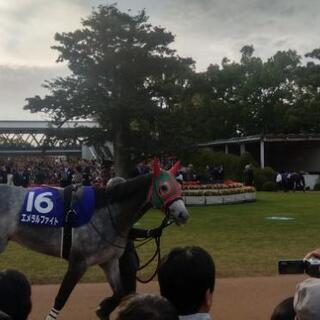 Lineの競馬グルチャメンバー募集中