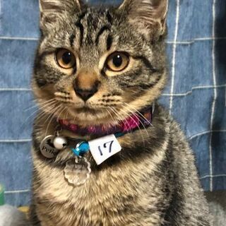 決まりました。No.17.18 