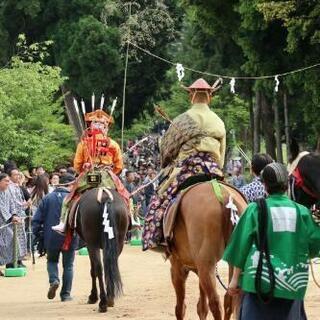 馬具譲ってください。和鞍、和飾り