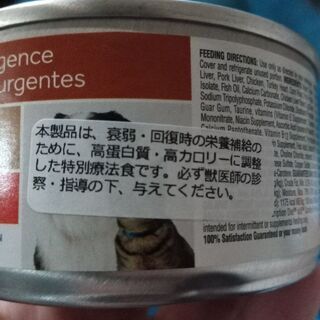 ヒルズ　a/d 缶　海外版？　期限2019 9月　10缶