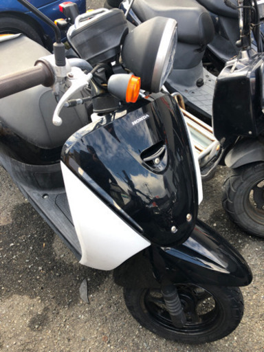 HONDA トゥデイ　AF67 新車ワンオーナー　福岡市南区