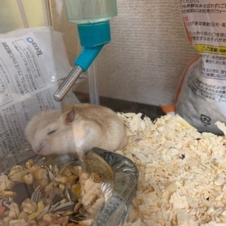 現在第1候補の方とお話を進めています − 静岡県