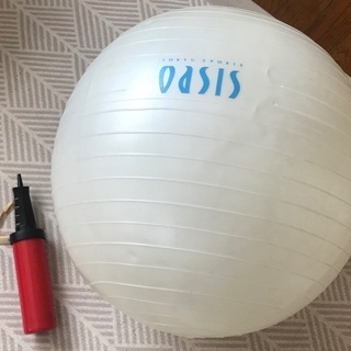 OASIS バランスボール
