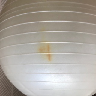 OASIS バランスボールの画像