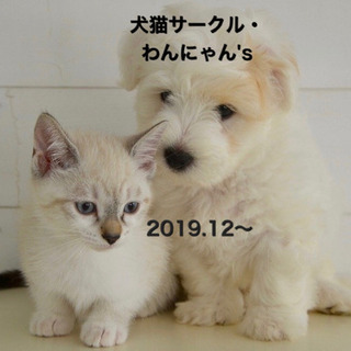 犬猫サークル・わんにゃん's メンバー募集♪