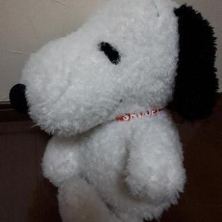 ♥️SNOOPY　ぬいぐるみ♥️