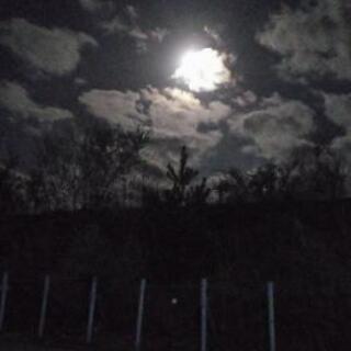 一緒に笑うと、いっぱい楽しい(^_^)