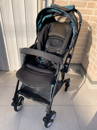 ランフィ　エフ　ピジョン