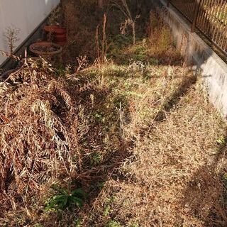 草抜き·草刈り·剪定·伐採·伐根·除草剤噴霧お任せください。 − 岡山県