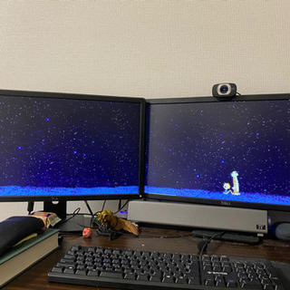 Dell23型モニタ2台