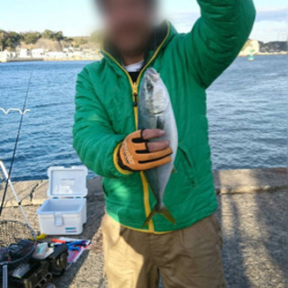 楽しく一緒に海釣り出来る方募集