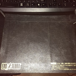 デュビア　Ｍサイズ２０匹程度＋卵ケース＋ラビットフード＋昆虫ゼリー＋飼育ケース+パネルヒーターの画像