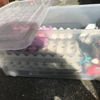 デュビア　Ｍサイズ２０匹程度＋卵ケース＋ラビットフード＋昆虫ゼリー＋飼育ケース+パネルヒーターの画像