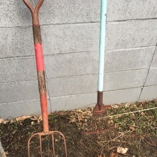 ガーデニング 荒れた草の整頓 掃除に
