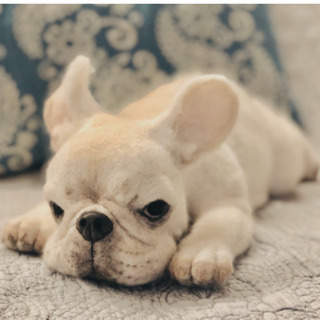 【京王線つつじヶ丘駅より4分】羊毛フェルトでつくるリアルな動物たちの画像