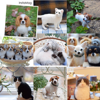 羊毛フェルト教室 (Atelier  Le  Ciel)長野県軽井沢町   リアルな愛犬＊愛猫を作りませんか❓の画像