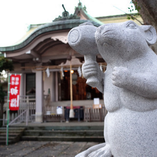 カメラ友達募集します📷初心者大歓迎！