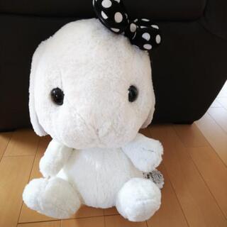 うさぎ   ぬいぐるみ