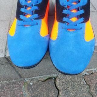 Sparcoスパルコ製レーシングシューズ、サイズ42（26.5)の画像