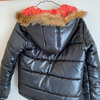 レピピアルマリオの画像