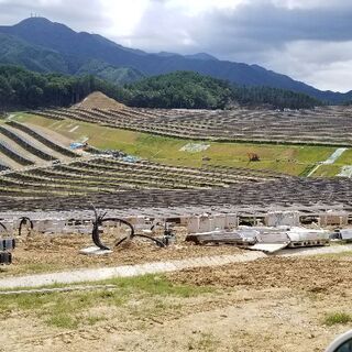 急募❗❗12,000円～の画像