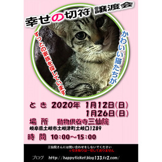 保護猫の譲渡会開催します