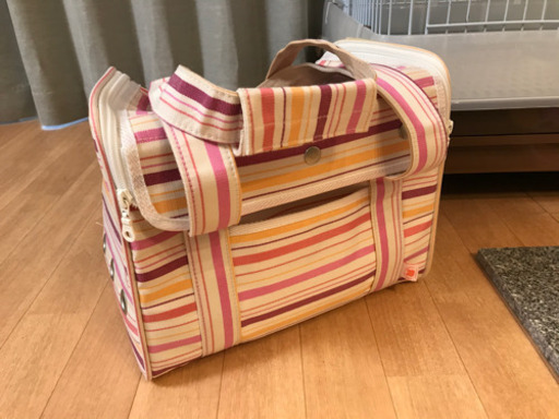 うさぎ　飼育セット